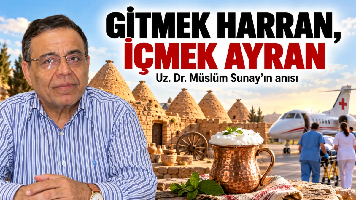 GİTMEK HARRAN, İ&Ccedil;MEK AYRAN