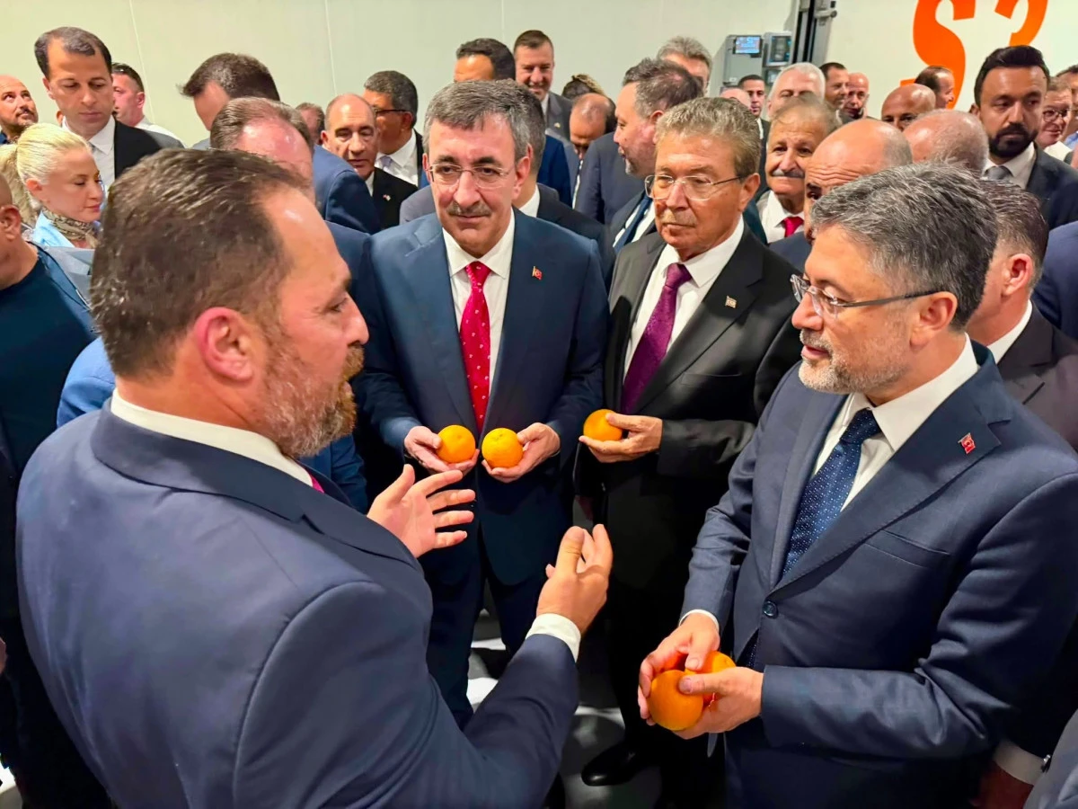 G&uuml;zelyurt'taki dev tarım yatırımı yerinde incelendi