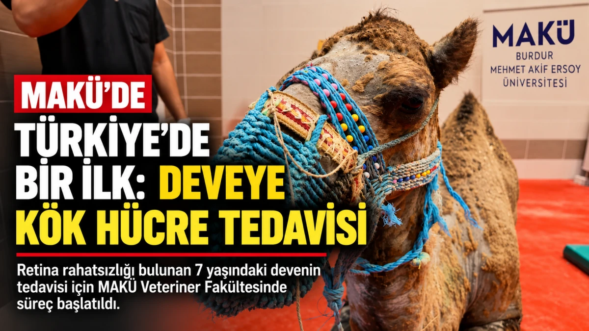 T&Uuml;RKİYE&rsquo;DE BİR İLK: DEVEYE K&Ouml;K H&Uuml;CRE TEDAVİSİ MAK&Uuml;&rsquo;DE